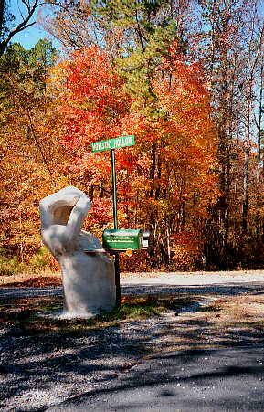 The Entrance to Holistic Hollow