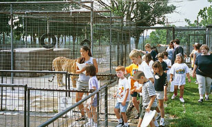 Grade School Tour Group
