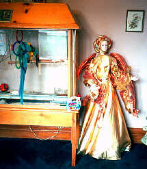 Parrot, left; Angel, right.