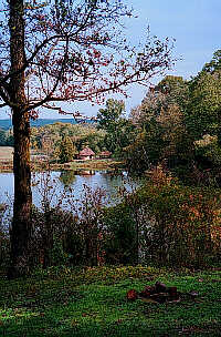 Picturesque and Primitive African Dwelling