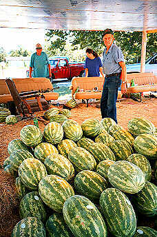 Genuine Cave City Melons