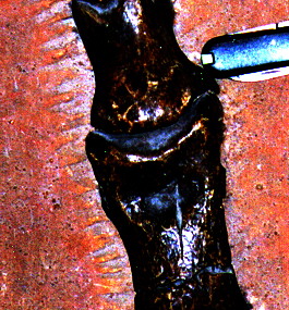 detail digitally enhanced to show fake chisel marks